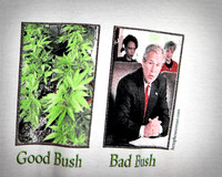 image on a tee shirt sold by Hemp House in Paia.