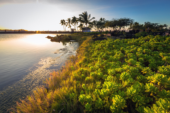 Lagoon at the Waikoloa Marriot