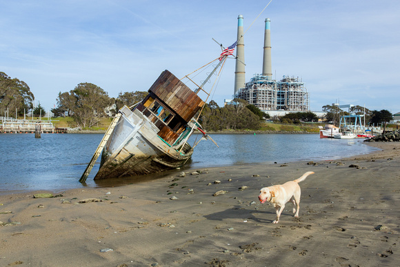 Moss Landing