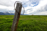 No fences on Mormon Row