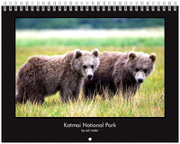 Alaska Calendar 2010