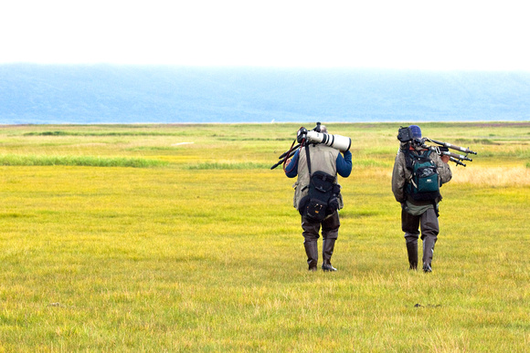 The vast meadows at Hallo Bay....