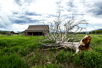 Some favorites from our Yellowstone road trip 2013