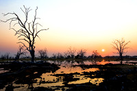 Moremi Game Reserve (Okavango Delta)