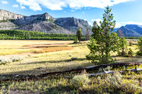 Some Favorites from Yellowstone, Fall 2013