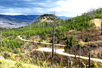 I did a six-mile off road drive near Mammoth Hot Springs.