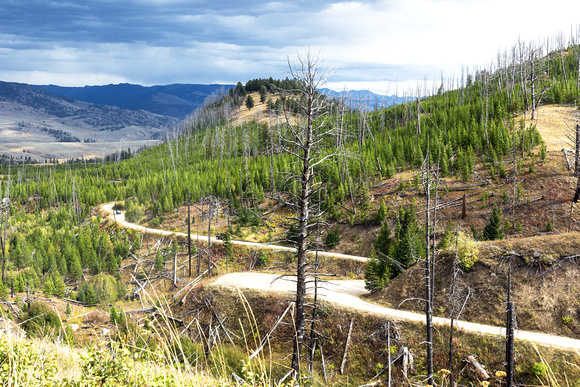 I did a six-mile off road drive near Mammoth Hot Springs.