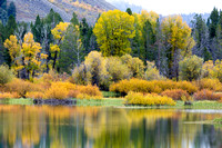 The Grand Tetons were obscured by clouds so I took what I could get at Oxbow Bend.