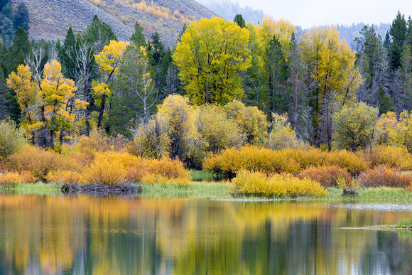 The Grand Tetons were obscured by clouds so I took what I could get at Oxbow Bend.