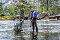 Ha ha! 18" Rainbow Trout