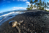 Hawaii - Big Island Xmas 2013