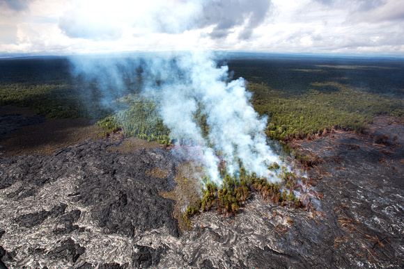 the  lava flow from Kilauea