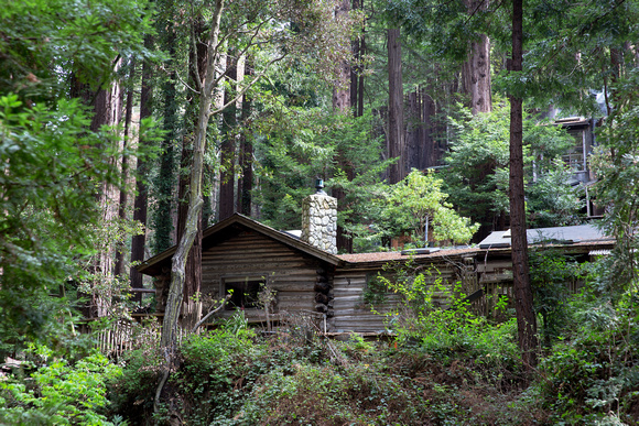 Palo Colorado Canyon, Big Sur