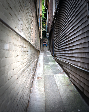 the back alleys of Sausalito.....