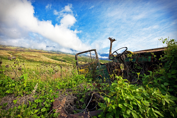 nature slowly reclaims an abandoned pick-up on the backroad to Hana....