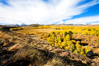 Near the Mono Lake overlook on the way to Bodie....