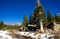 Tioga Pass....